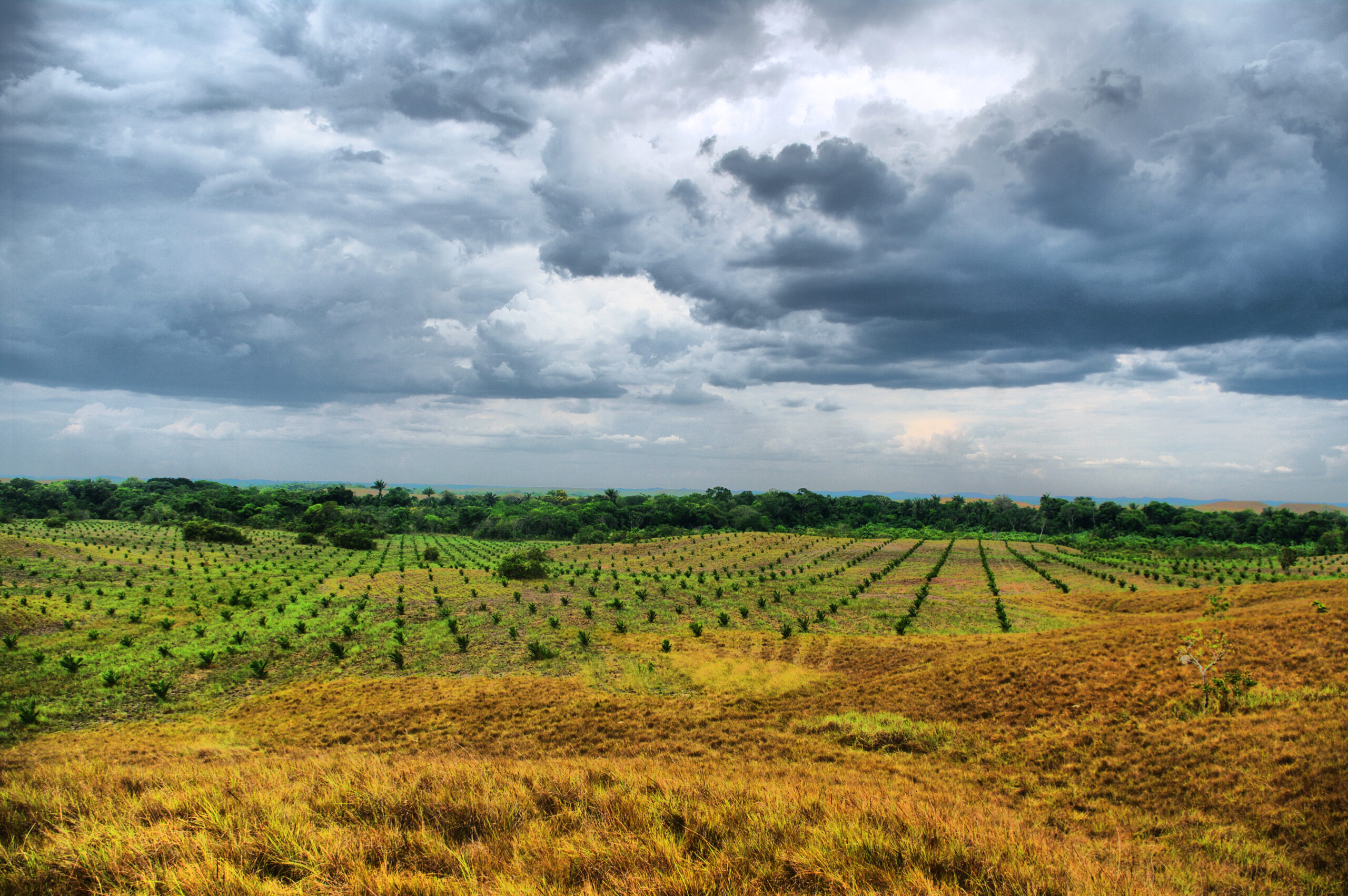 Farm and Land Colombia