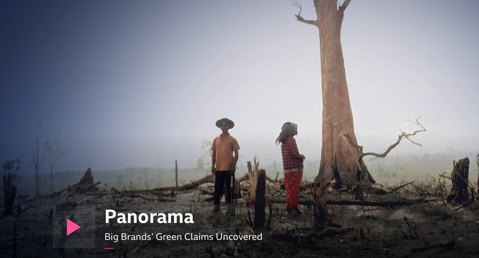 BBC Documentary exposes dangers of forest-based carbon credits - SOMO